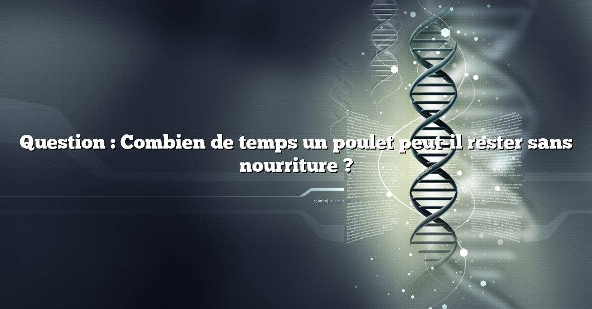 Question : Combien de temps un poulet peut-il rester sans nourriture ?